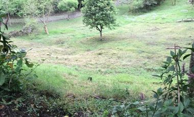 Venta terrenos  en Coatepec, Ver.