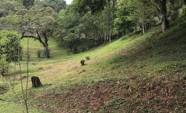 Venta terrenos  en Coatepec, Ver.