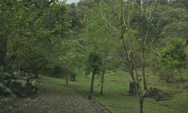 Venta terrenos  en Coatepec, Ver.