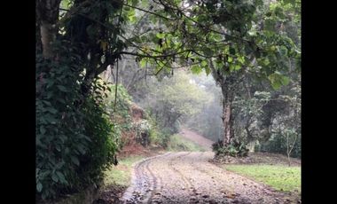 Venta terrenos  en Coatepec, Ver.