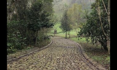Venta terrenos  en Coatepec, Ver.