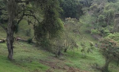 Venta terrenos  en Coatepec, Ver.