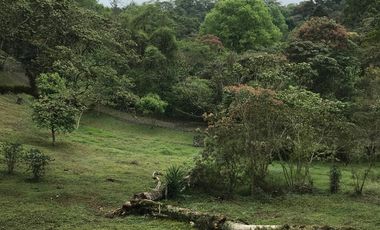 Venta terrenos  en Coatepec, Ver.