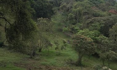 Venta terrenos  en Coatepec, Ver.