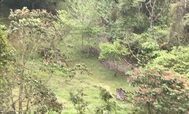 Venta terrenos  en Coatepec, Ver.