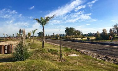 Terreno en venta - 1.500 mts2 - Campos de La Enriqueta