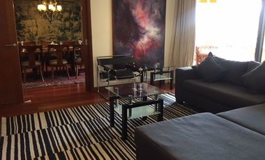Departamento muy amplio venta lindos jardines / Vitacura