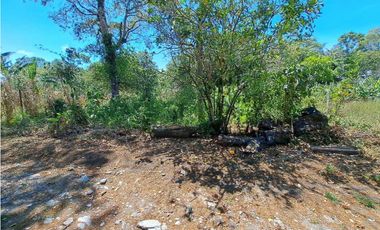 VENDO LOTES DE MIL METROS EN PALMIRA