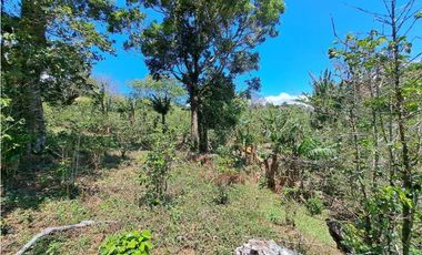 VENDO LOTES DE MIL METROS EN PALMIRA