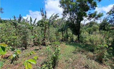 VENDO LOTES DE MIL METROS EN PALMIRA