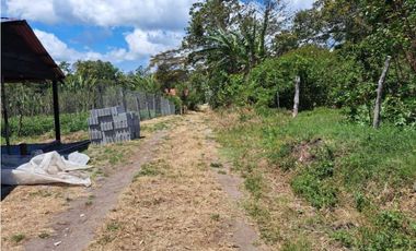 VENDO LOTES DE MIL METROS EN PALMIRA