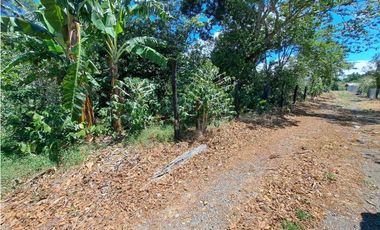 VENDO LOTES DE MIL METROS EN PALMIRA