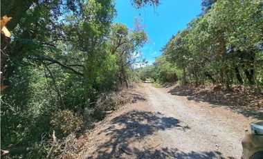 VENDO LOTES DE MIL METROS EN PALMIRA