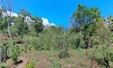 VENDO LOTES DE MIL METROS EN PALMIRA