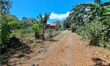 VENDO LOTES DE MIL METROS EN PALMIRA