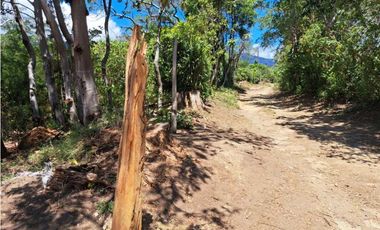 VENDO LOTES DE MIL METROS EN PALMIRA