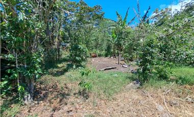 VENDO LOTES DE MIL METROS EN PALMIRA