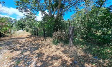 VENDO LOTES DE MIL METROS EN PALMIRA