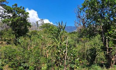 VENDO LOTES DE MIL METROS EN PALMIRA