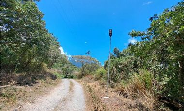 VENDO LOTES DE MIL METROS EN PALMIRA