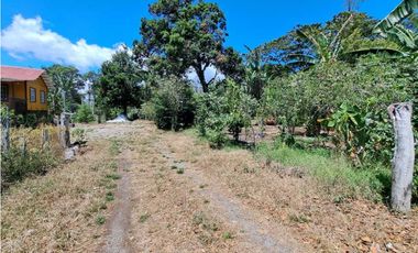 VENDO LOTES DE MIL METROS EN PALMIRA