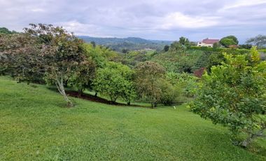 finca en venta en altagracia. Cod V17587