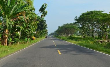 Tanah Kavling Dekat Pantai Jetis Harga Hemat Jalan Daendels