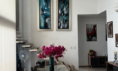 Penthouse amueblado en Renta