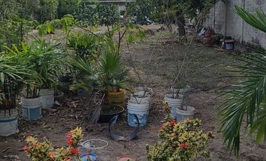 Terreno en venta en Samborondón Urb. El Río