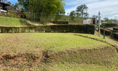 LOTES PARA VENTA EN ALCARAVANES