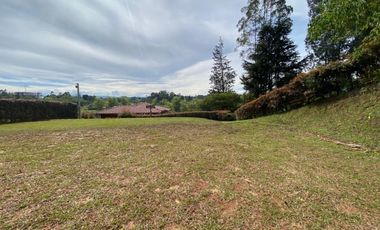 LOTES PARA VENTA EN ALCARAVANES