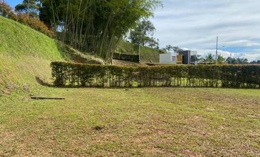 LOTES PARA VENTA EN ALCARAVANES