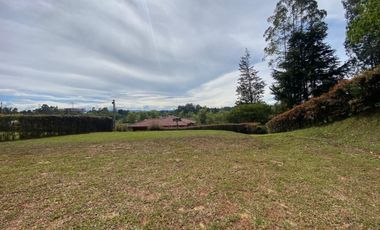 LOTES PARA VENTA EN ALCARAVANES