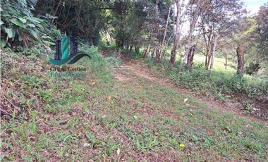 VENDO 20 HECTAREAS DE TERRENO POTRERILLOS ARRIBA
