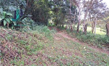 VENDO 20 HECTAREAS DE TERRENO POTRERILLOS ARRIBA