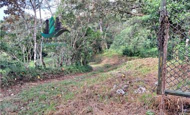 VENDO 20 HECTAREAS DE TERRENO POTRERILLOS ARRIBA