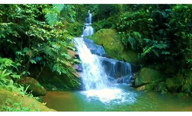 Hostal en Venta - El Sauce - Centro