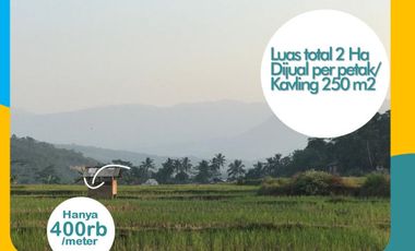 Jual Sawah Murah di Bogor 2021 per meter 400 ribu