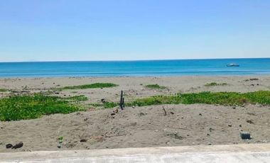 Are you looking for the ultimate investment opportunity? Look no further! We have a 1,967 SQM white sandy beachfront titled lot located in Brgy Buhangin, Baler, Aurora Province, Philippines