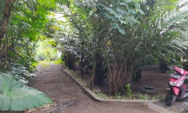 [5012D4] For Sale 1 Bedroom House, 35m2 - Sleman, Yogyakarta