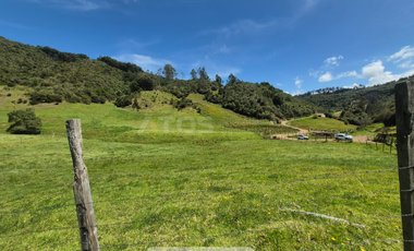 finca en venta en vereda cortadera. Cod V5972