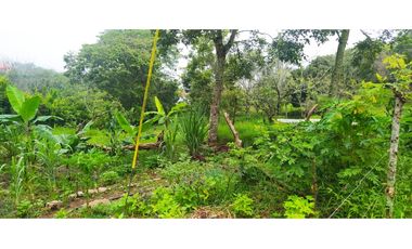 VENTA LOTE VENECIA, SUROESTE ANTIOQUEÑO