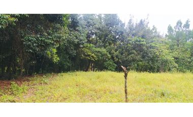 VENTA LOTE VENECIA, SUROESTE ANTIOQUEÑO