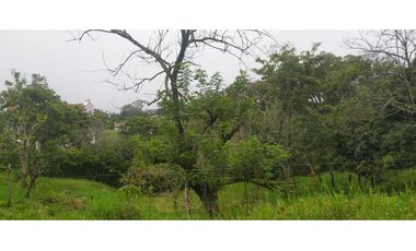 VENTA LOTE VENECIA, SUROESTE ANTIOQUEÑO