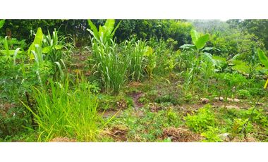 VENTA LOTE VENECIA, SUROESTE ANTIOQUEÑO