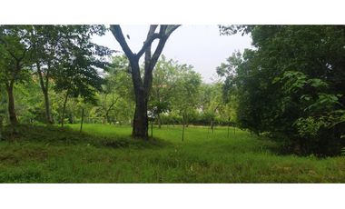 VENTA LOTE VENECIA, SUROESTE ANTIOQUEÑO