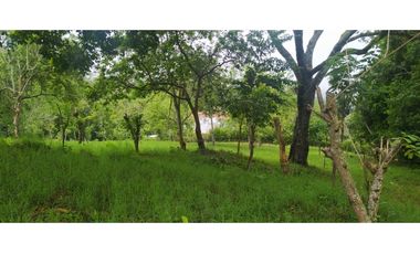 VENTA LOTE VENECIA, SUROESTE ANTIOQUEÑO