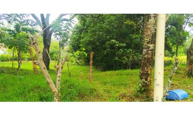 VENTA LOTE VENECIA, SUROESTE ANTIOQUEÑO