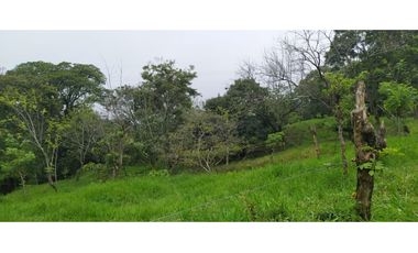 VENTA LOTE VENECIA, SUROESTE ANTIOQUEÑO