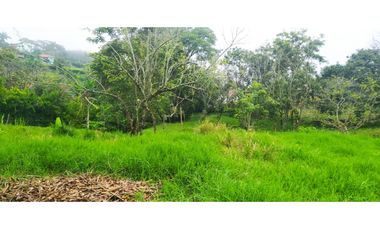 VENTA LOTE VENECIA, SUROESTE ANTIOQUEÑO